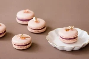 Macaron2 Min 1 300x200